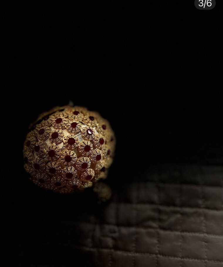 Golden. Mini Circle Treasure - Image 3