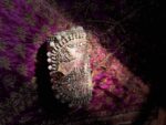 Bridal Dhol clutch - Image 2