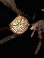 Kundan gold mini Clutch - Image 3