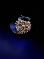 Mini Heart Gems Clutch – New Edition - Image 5