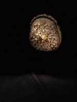 Gota Kundan dholna cultch - Image 4