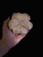 Mini bling clutch - Image 6