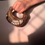 Mermaid Clutch - Image 2