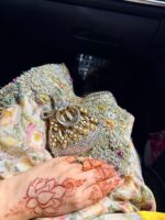 Royal Gold Shell - Image 5