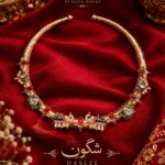 Nooray Shagoon Hasli