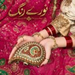 Nooray Shagoon Rang Clutch